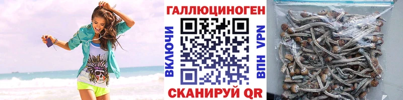 сколько стоит  Черемхово  Галлюциногенные грибы мицелий 