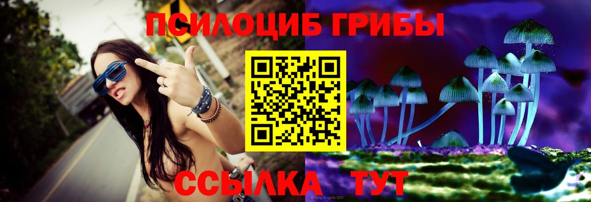 Псилоцибиновые грибы мицелий Черемхово